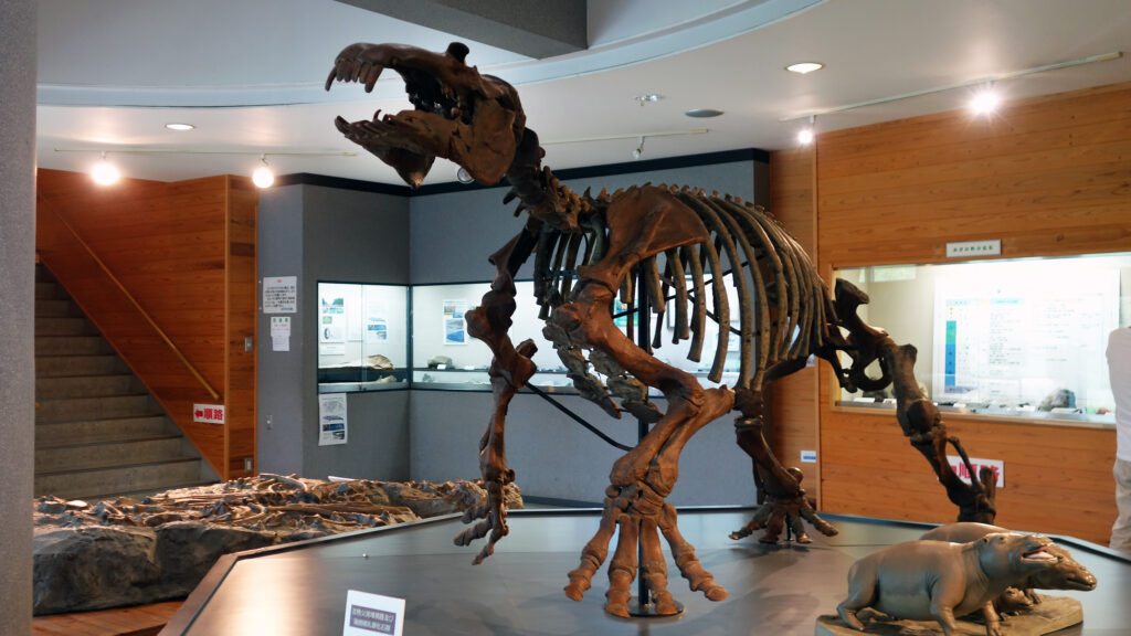 入り口正面に展示されているパレオパラドキシアの全身骨格復元模型