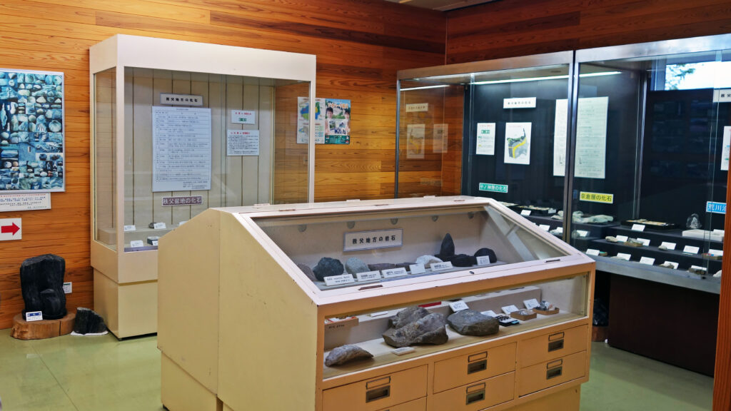 秩父で採取された化石が展示されている化石コーナー
