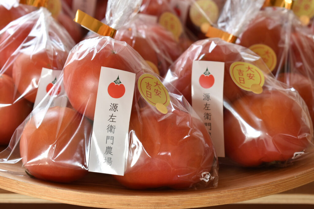 人気のトマトト「大安吉日」は12月～5月の販売
