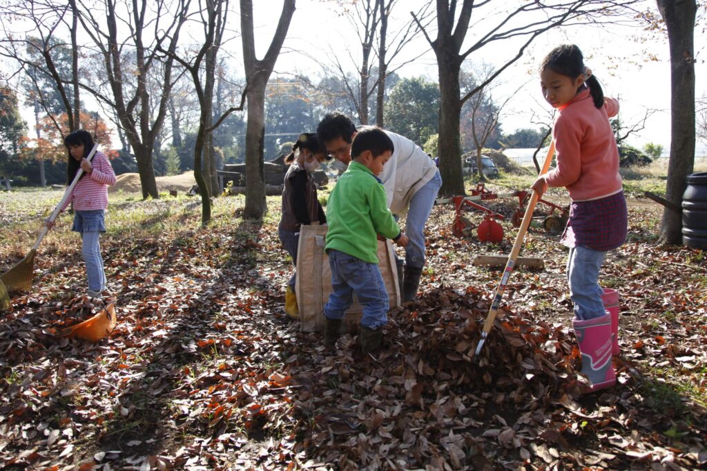 雑木林の中、落ち葉をかき集める子どもたち
